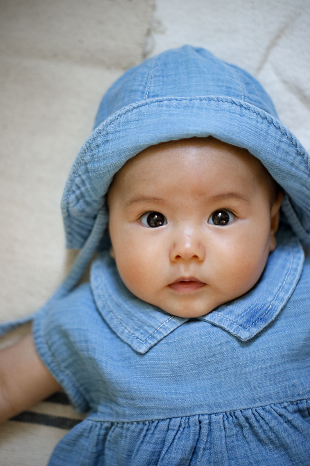 1+ in the family Arcadia denim  getragen von einem Baby, Nahaufnahme mit Blick auf den oberen Teil des Kleides und des Kragens