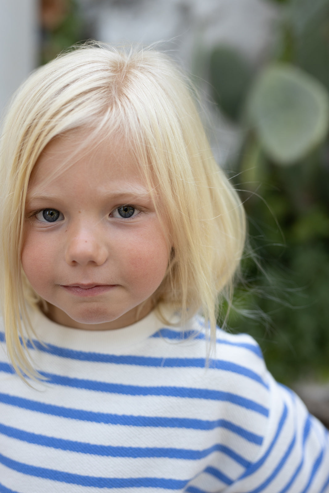 1+ in the family Marroig ultramarine getragen von einem Kinder, Blick auf die obere Hälfte des Sweatshirts