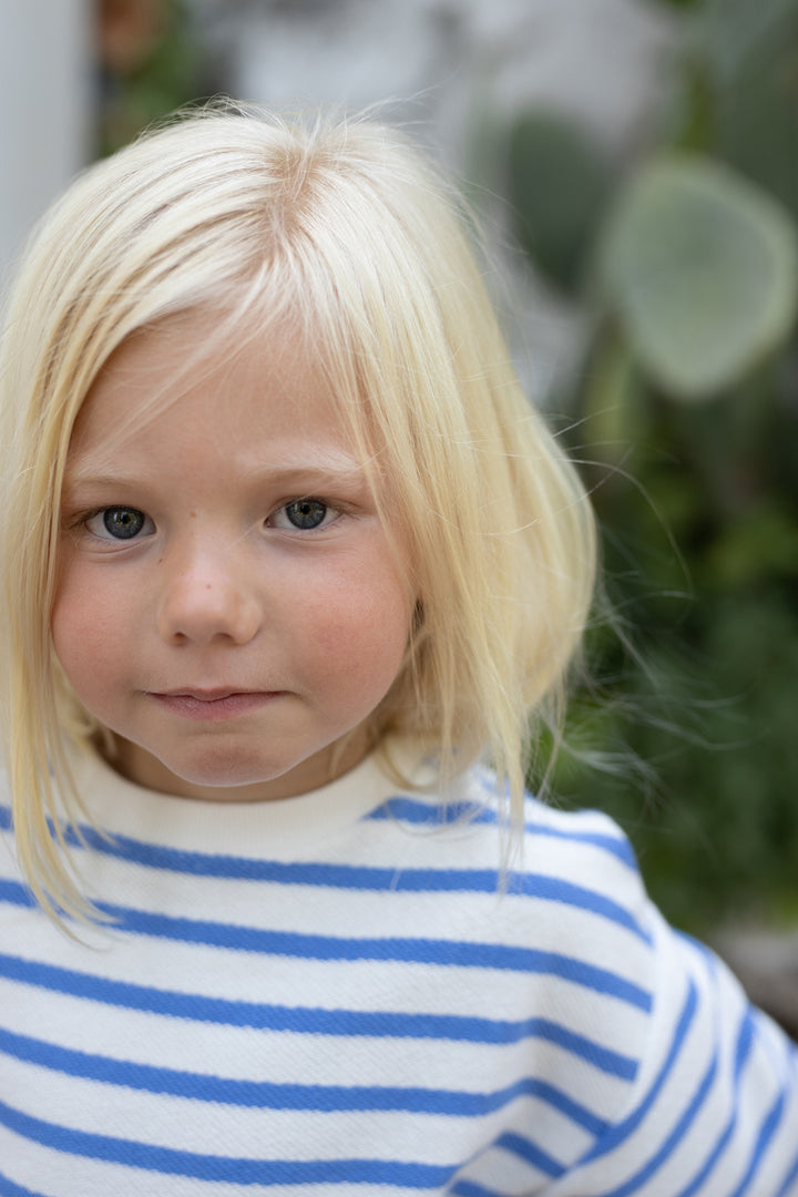 1+ in the family Marroig ultramarine getragen von einem Kinder, Blick auf die obere Hälfte des Sweatshirts