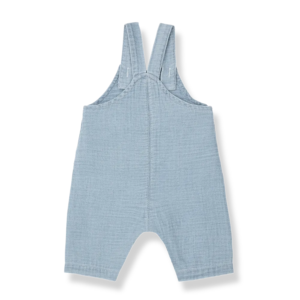 1+ in the family Pilo denim Produktbild, Ansicht von hinten, keine Gesäßtaschen  