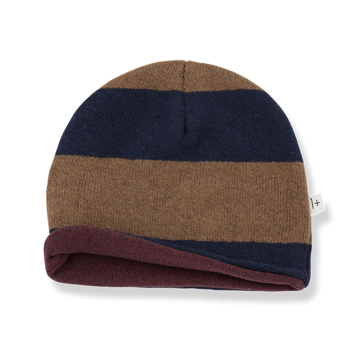Beanie Roy