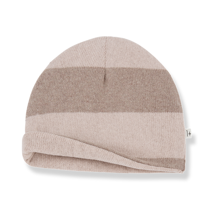 Beanie Roy