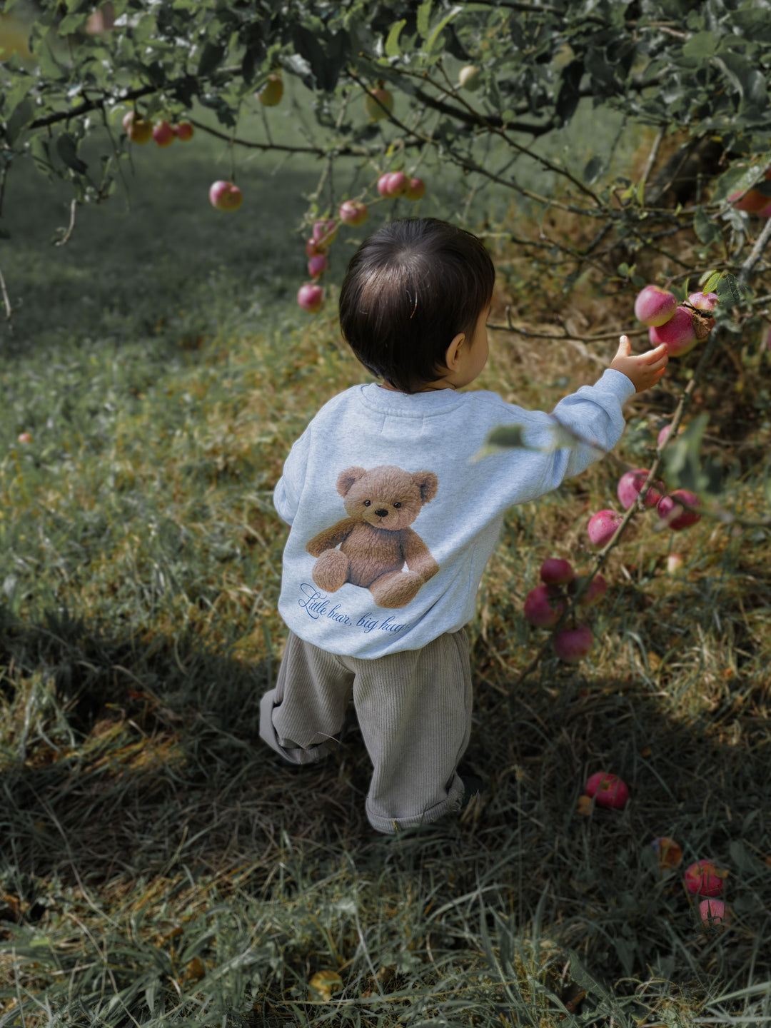 Bear Sweatshirt | Baby/Kids