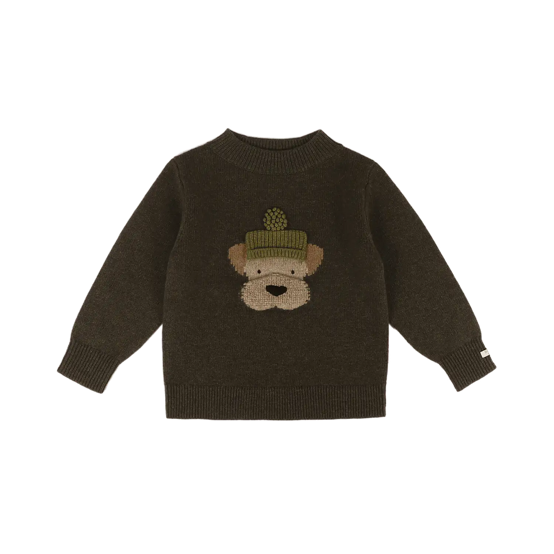 dunkelgrüner Pullover aus 100% Merinowolle für Babys, Kleinkinder und Kinder mit eingestricktem Terriergesicht mit grüner Pudelmütze. Lange Ärmel mit gerippten Bündchen. Produktbild, Ansicht von vorne. 