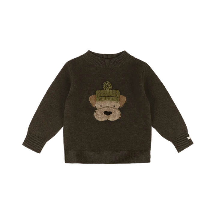 dunkelgrüner Pullover aus 100% Merinowolle für Babys, Kleinkinder und Kinder mit eingestricktem Terriergesicht mit grüner Pudelmütze. Lange Ärmel mit gerippten Bündchen. Produktbild, Ansicht von vorne. 