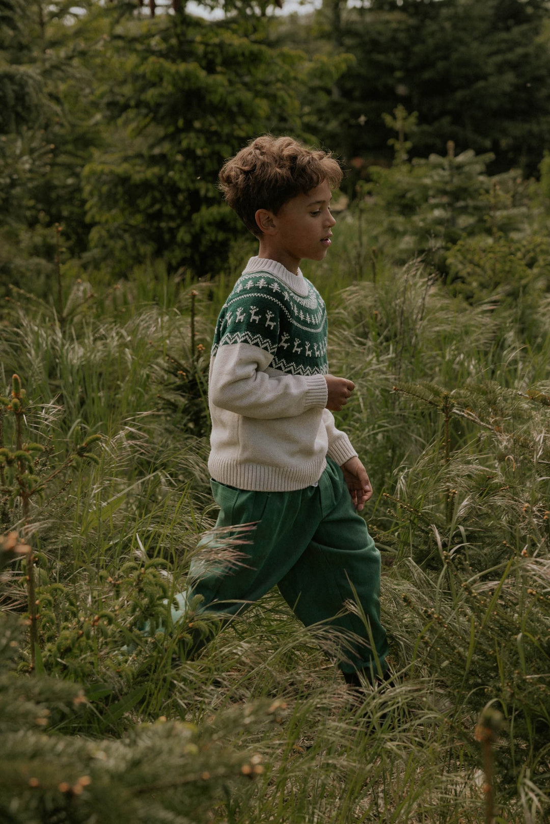 FLIINK | Janie Nordic Pullover