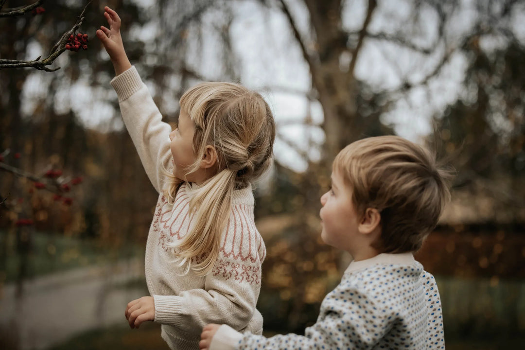 FLIINK | Nova Bow Pullover