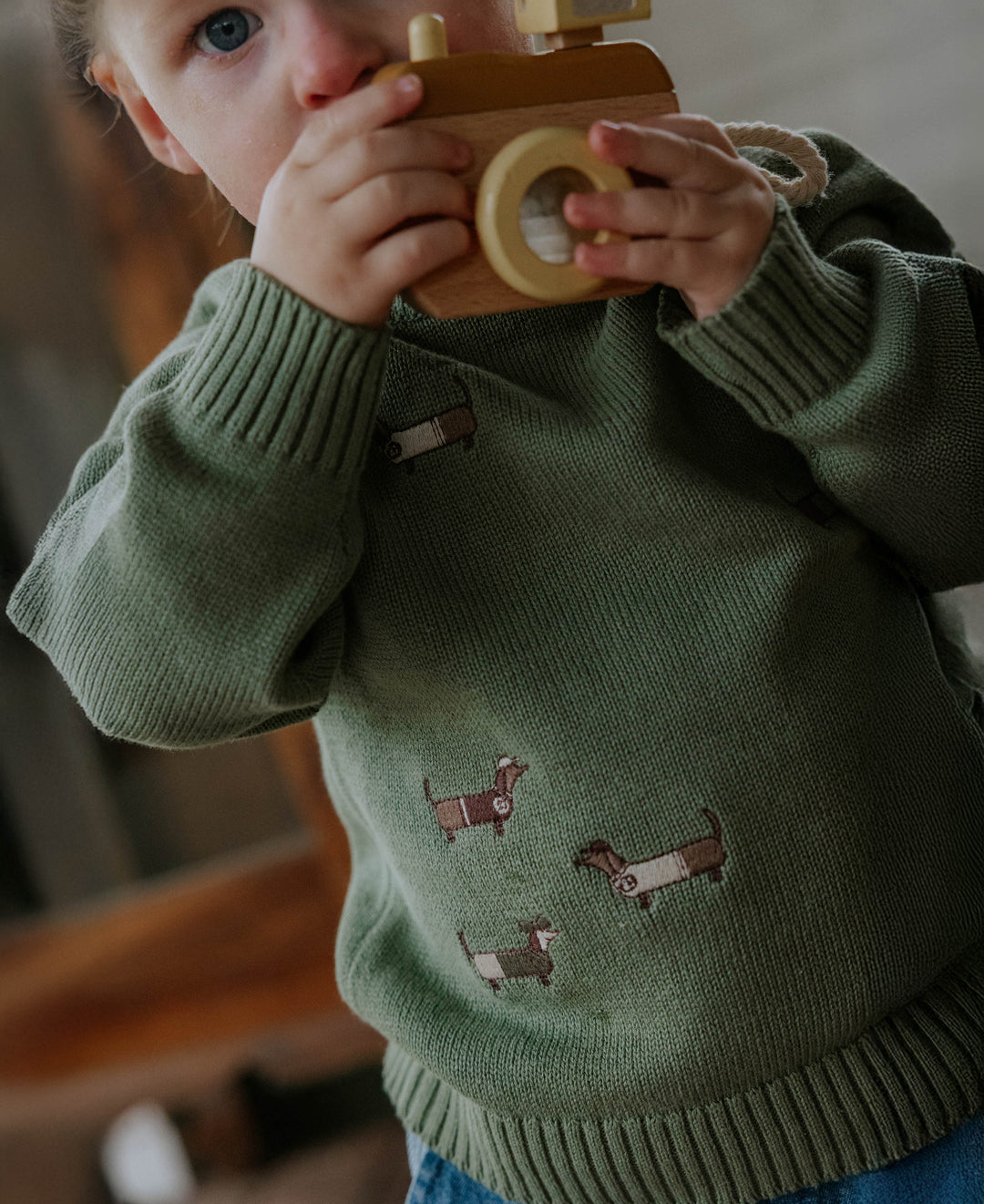 Fliink Mahdi Dog Pullover hedge green getragen von einem Kleinkind Ansicht von vorne 