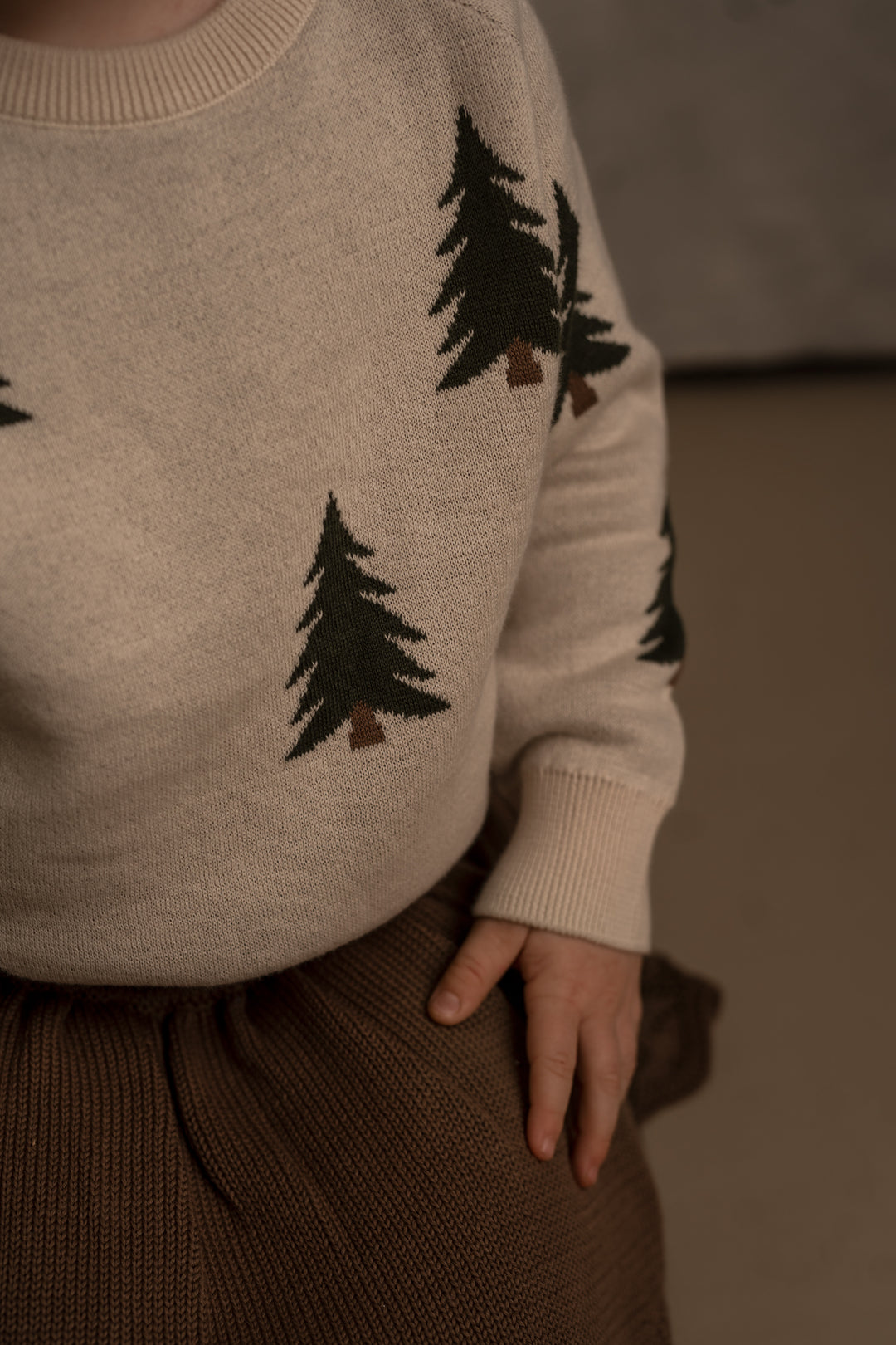 HANEVILD | Christmas Pullover